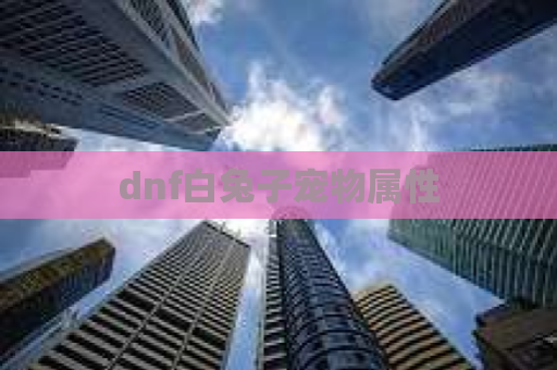 dnf白兔子宠物属性